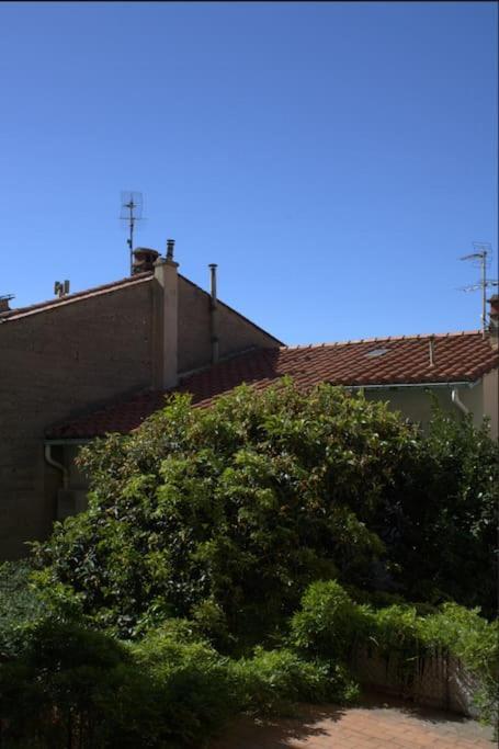 La Jungle Urbaine Avec Garage Prive & Climatisation Perpignan Exterior foto